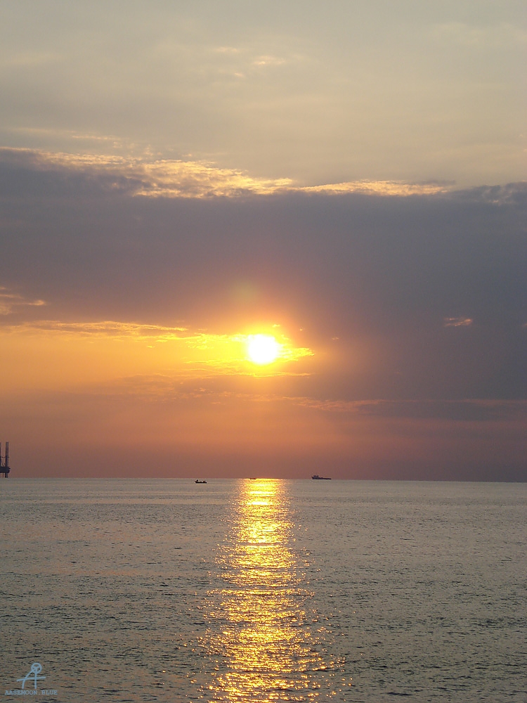 DSC04687