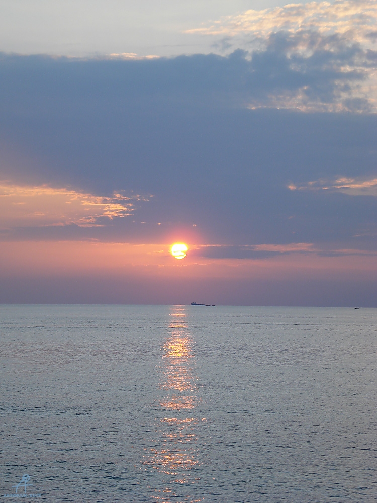 DSC04721