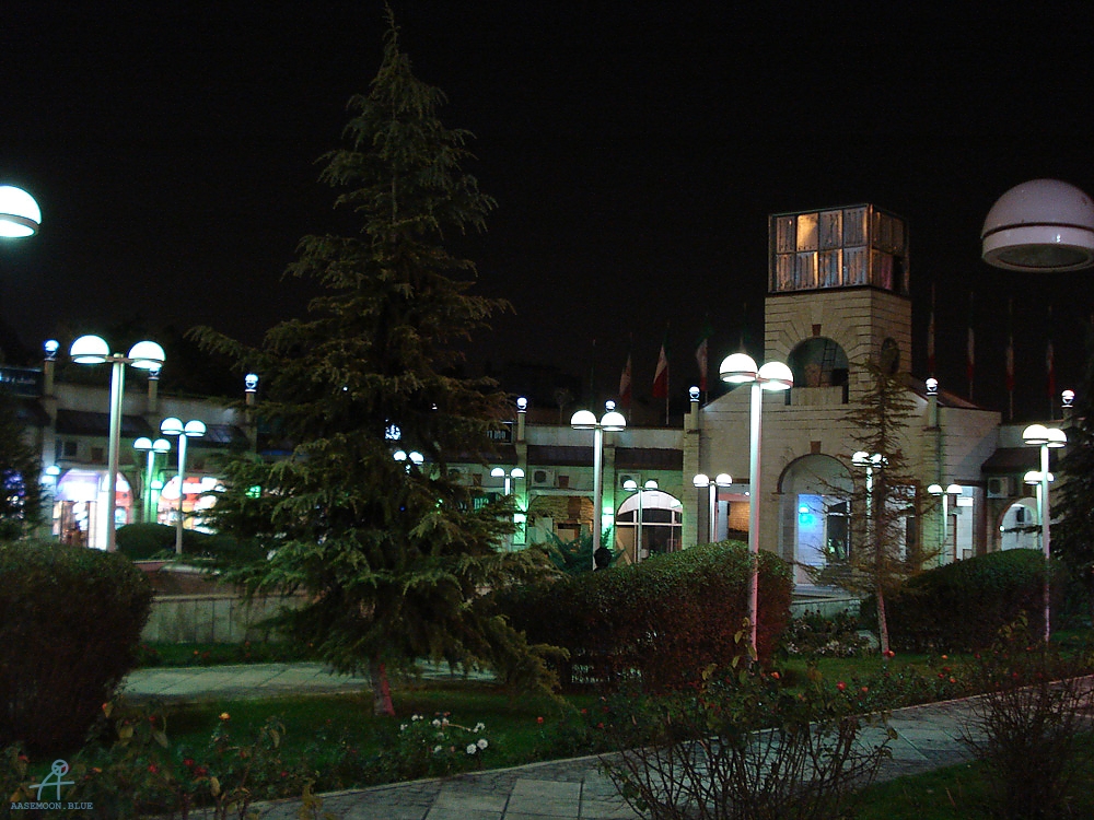 DSC04019