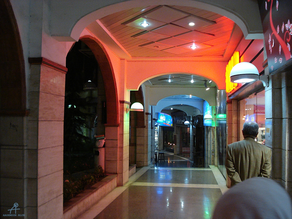 DSC04020