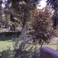Tehran (170)
