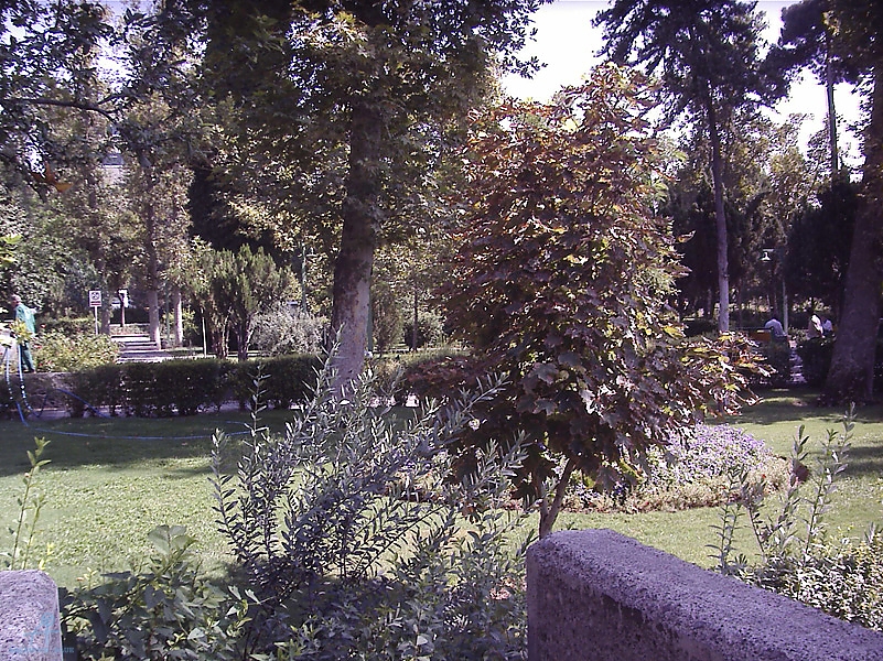 Tehran (170)