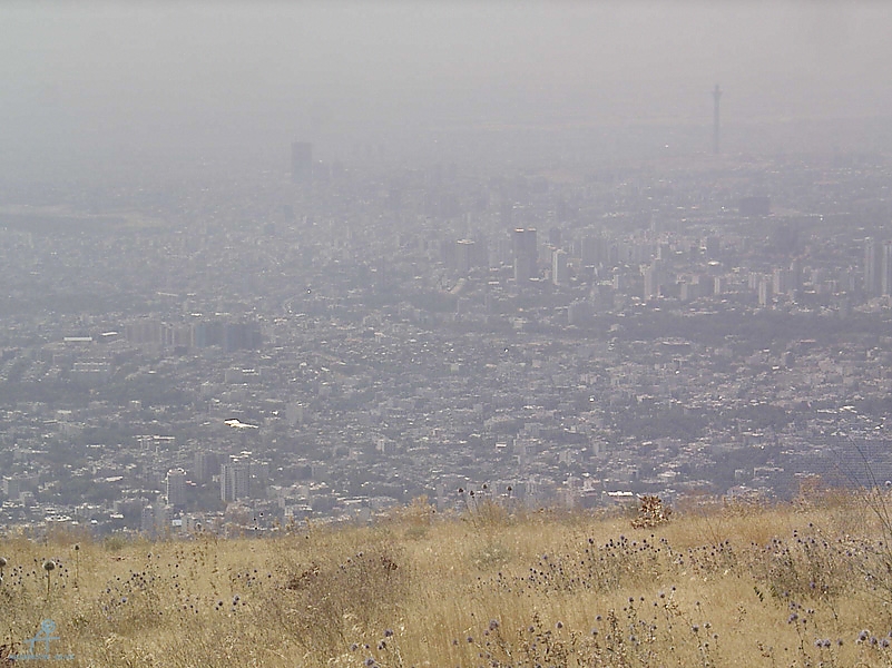 Tehran (349)
