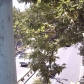 Tehran (446)