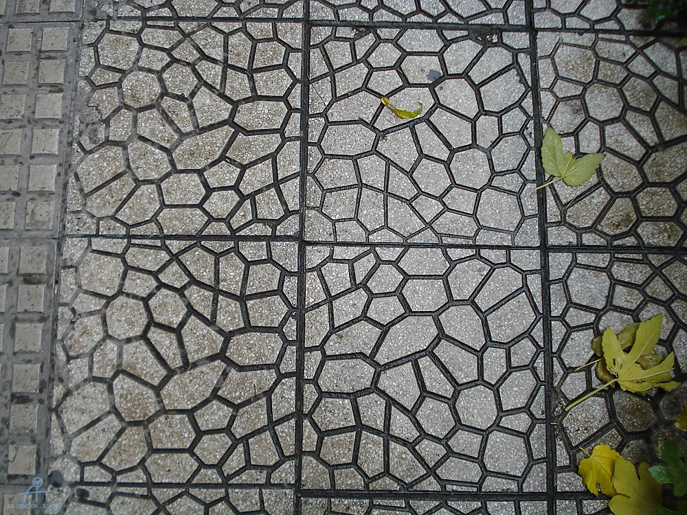 DSC02969