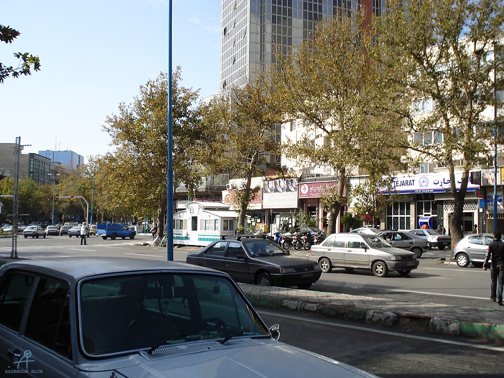 DSC02995