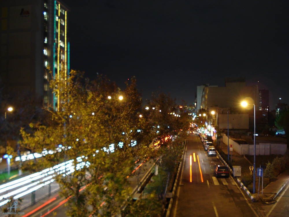 DSC02869