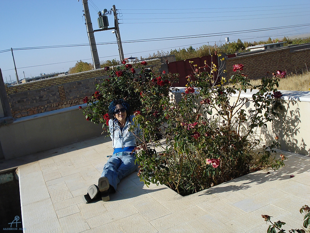 DSC03533