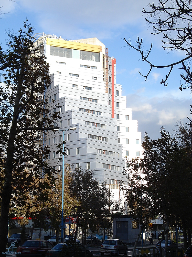 DSC03631
