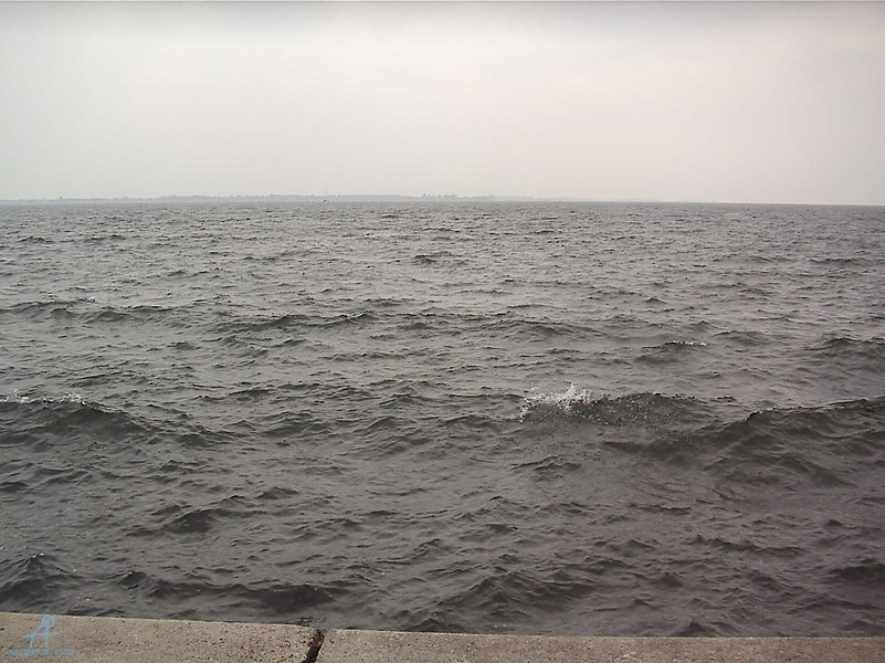 MLNA0018