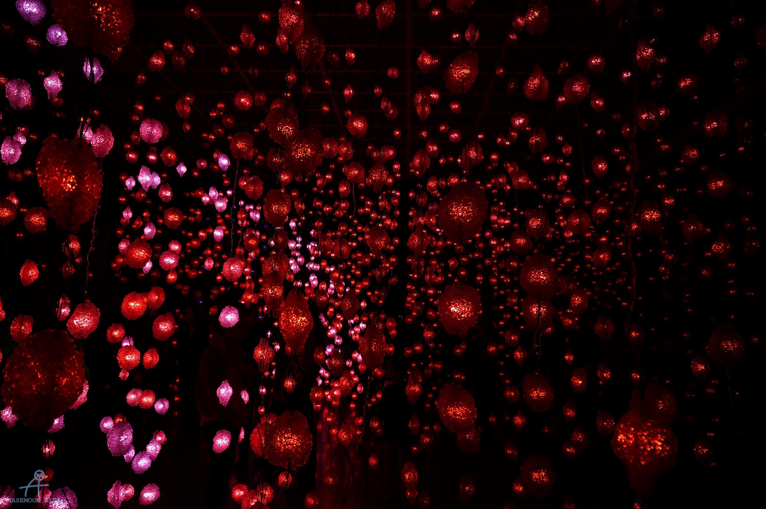DSC09485