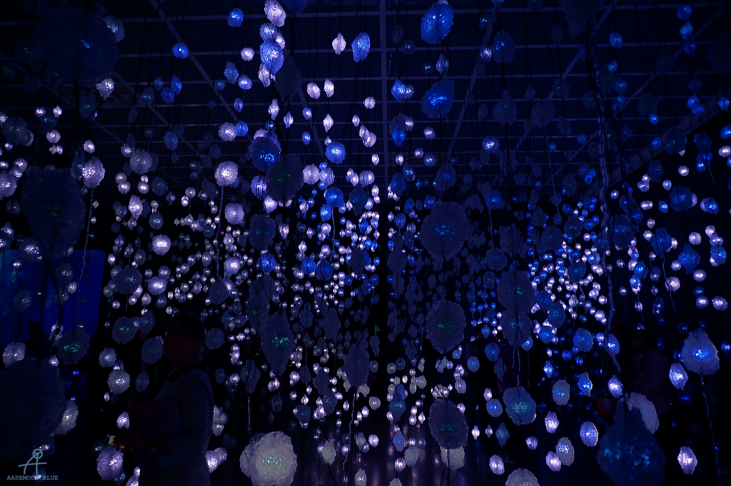 DSC09490