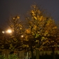 DSC02252