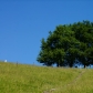 DSC09091
