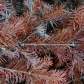 DSC09185