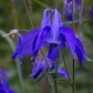DSC09207