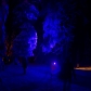 DSC05101