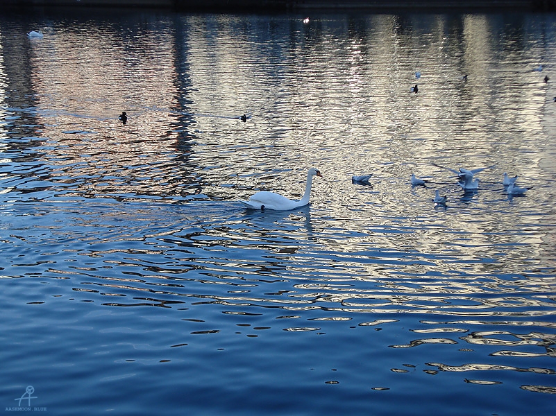 DSC01452
