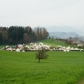 DSC09775
