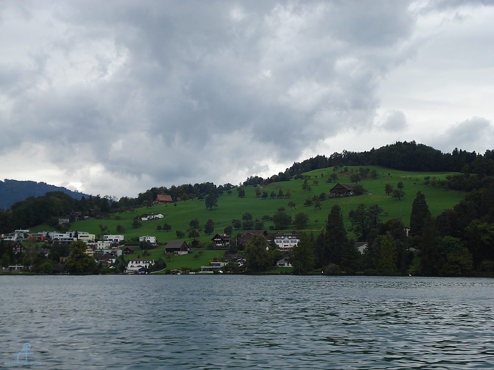 DSC07613