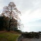 DSC04521