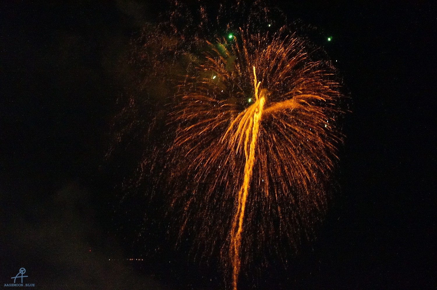 DSC05704