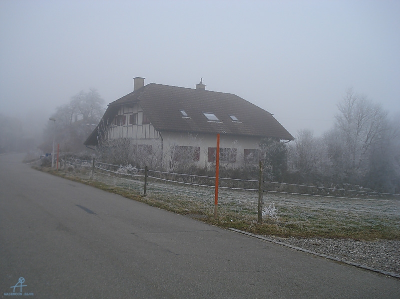 DSC00529