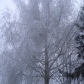 DSC00535