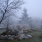 DSC00536
