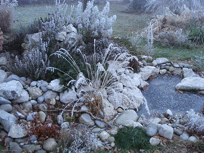 DSC00537