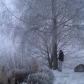 DSC00540