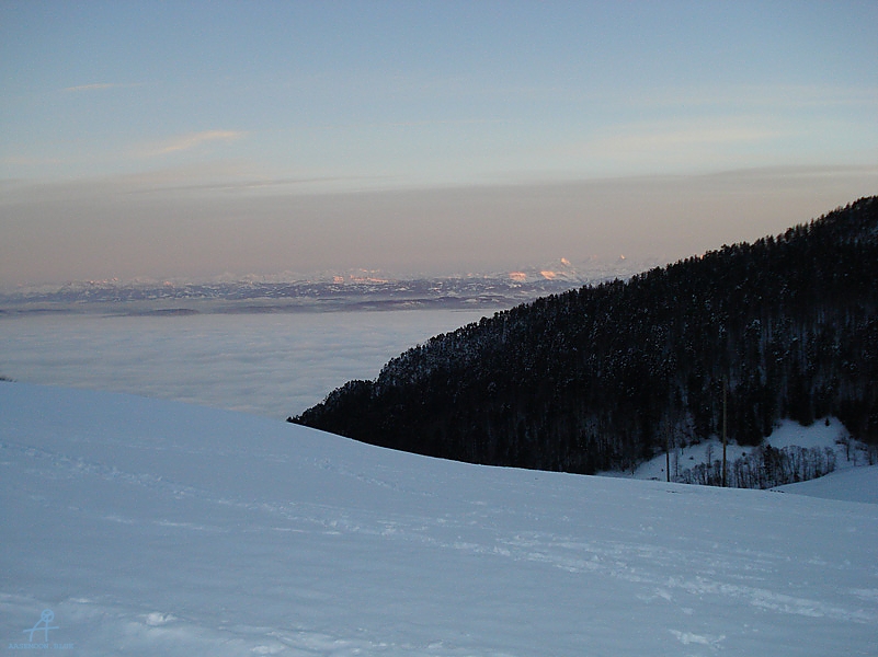 DSC00556