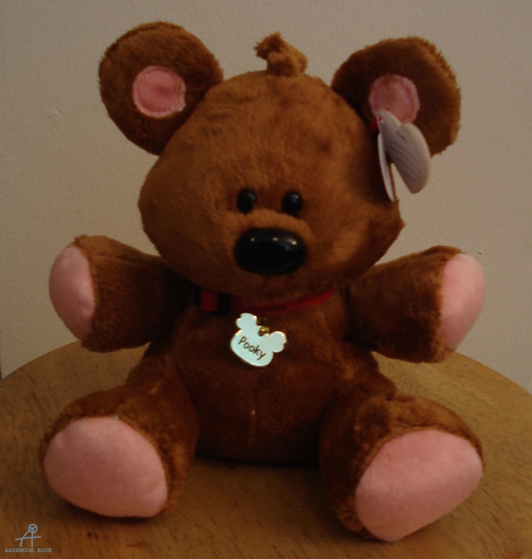 TeddyPookie