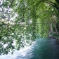 DSC00337