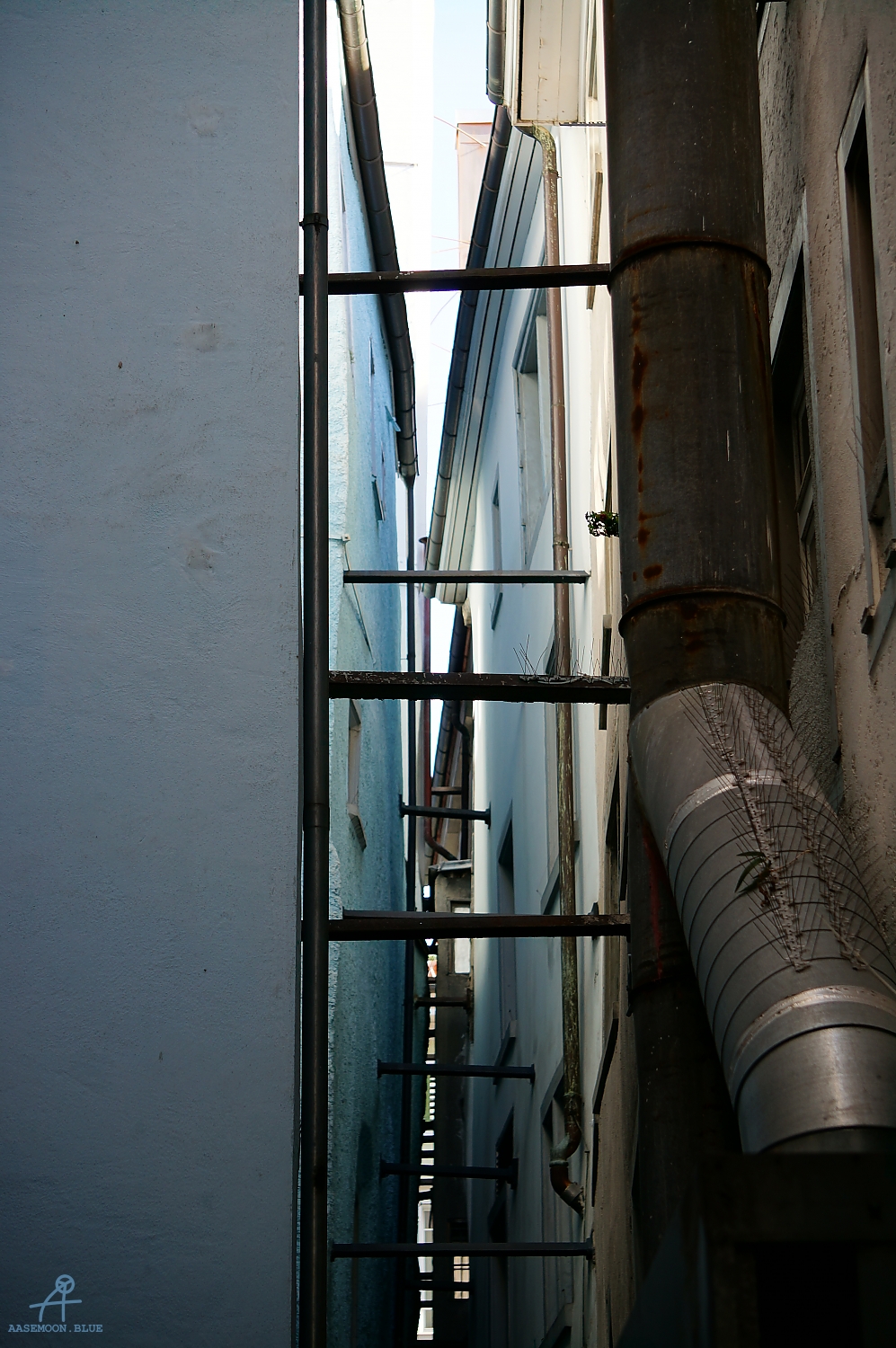 DSC02324
