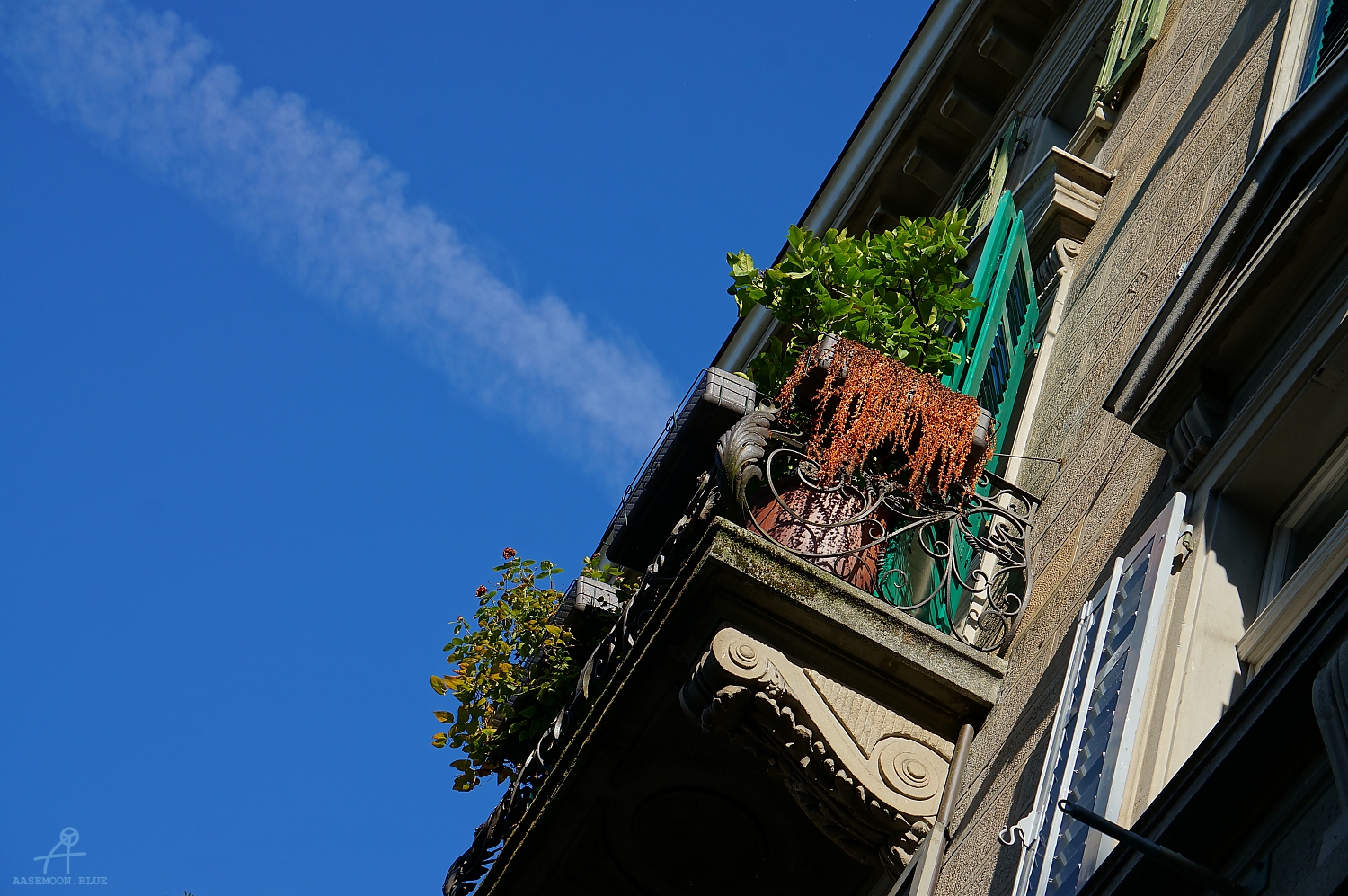 DSC02340