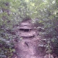 MLNA0051