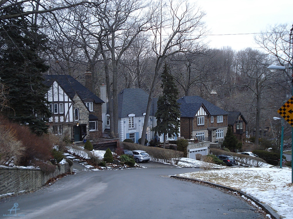 DSC05305