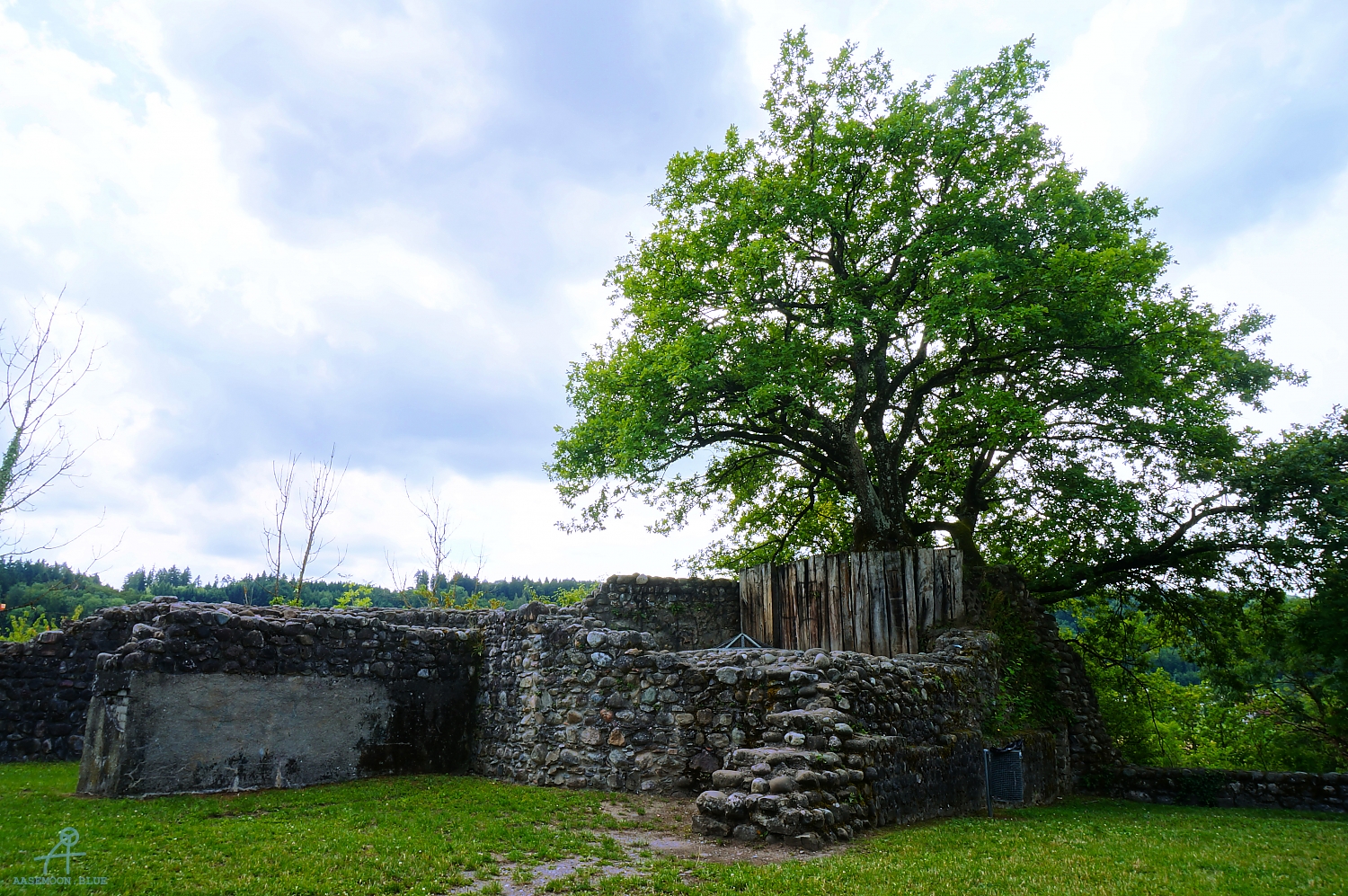 DSC07226a