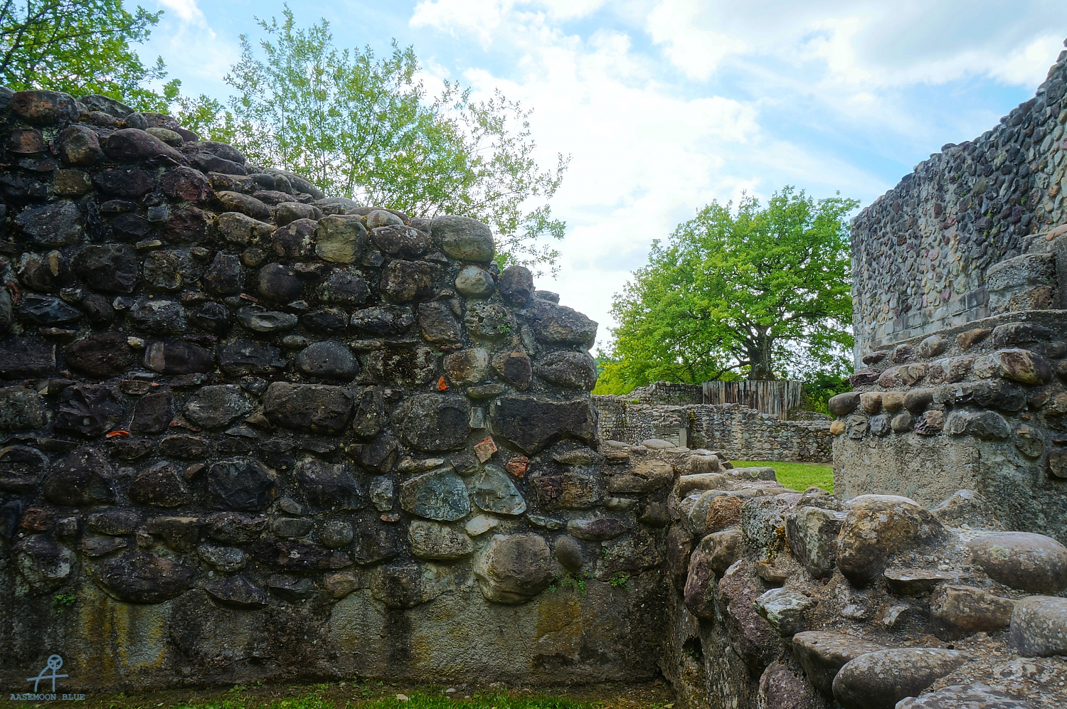 DSC07251a