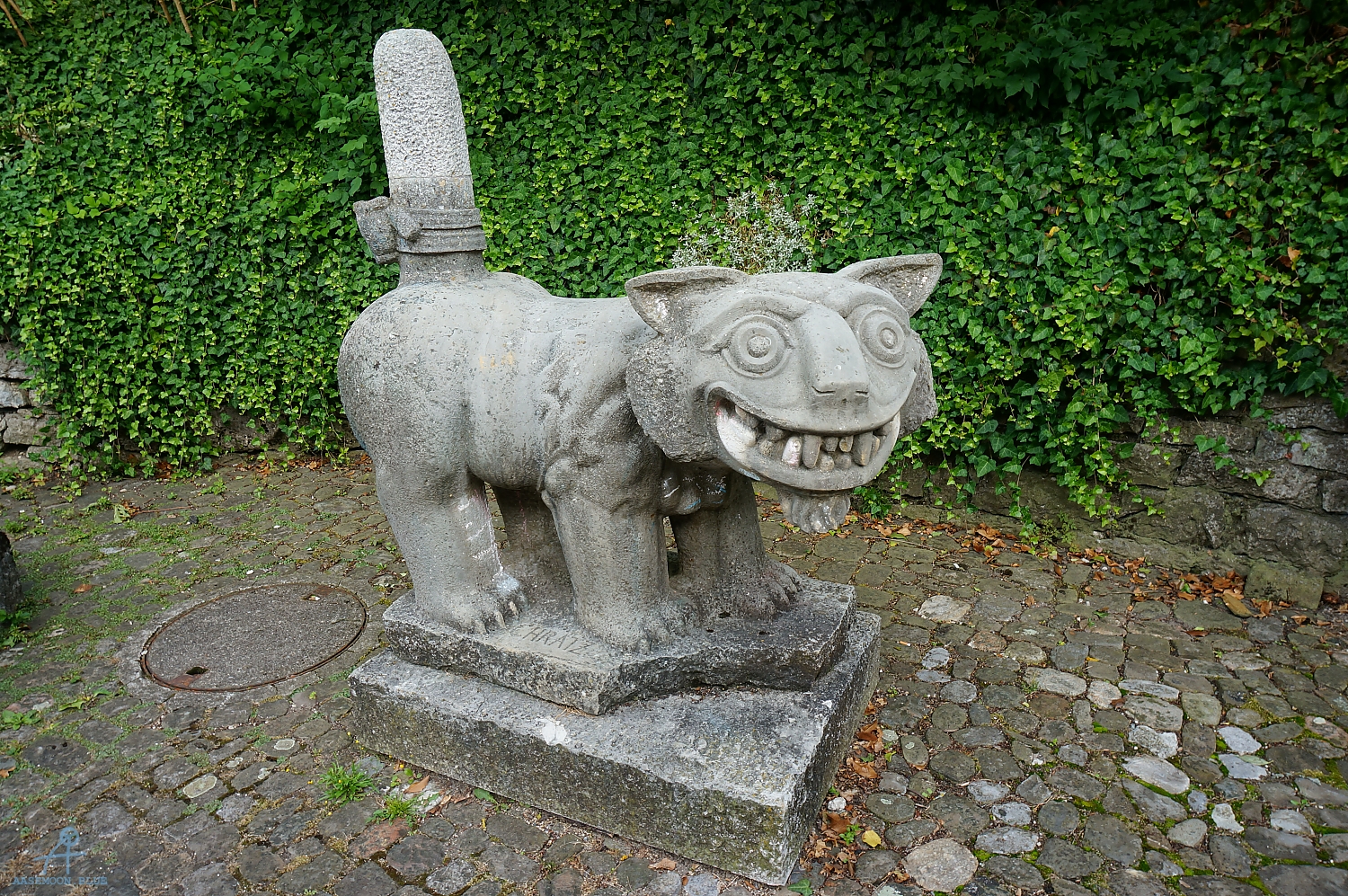 DSC07506