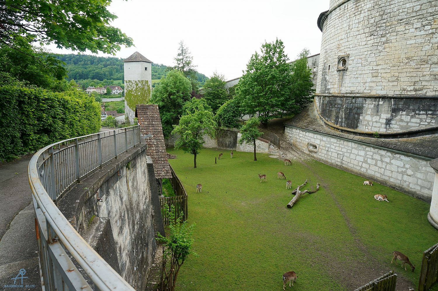 DSC08592