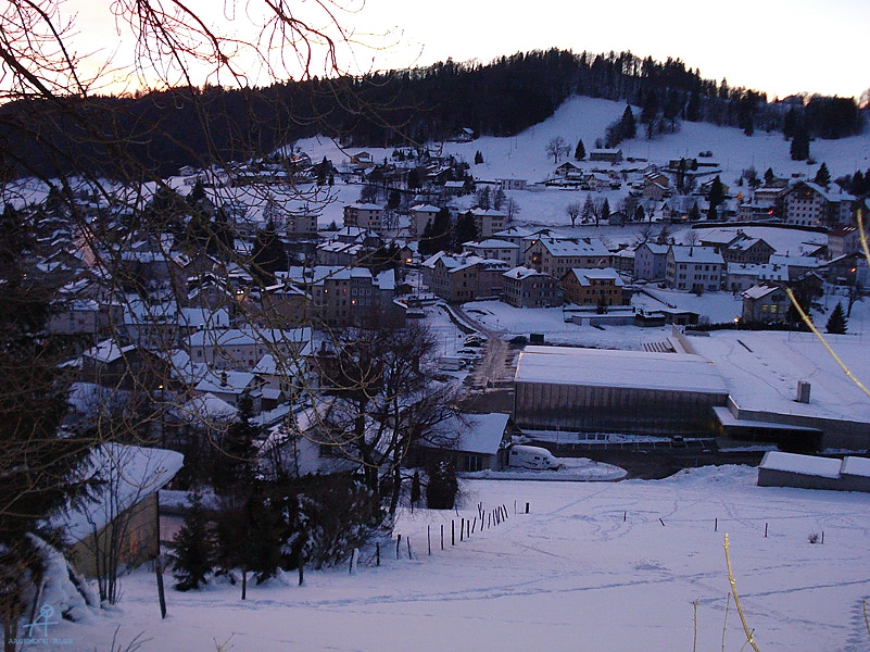 DSC00648