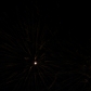 DSC00520
