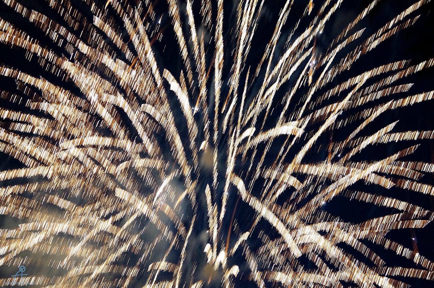 DSC00583