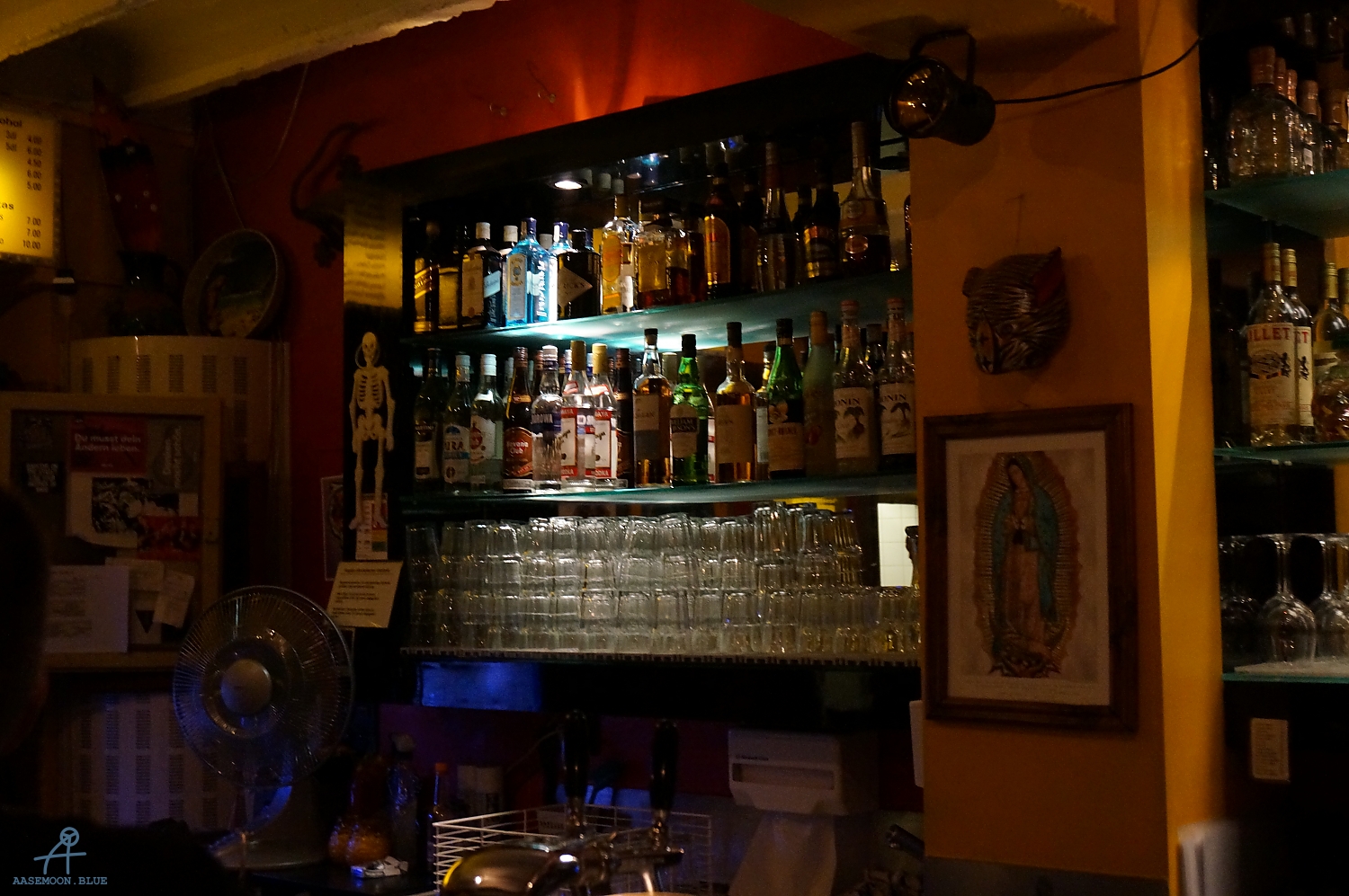 DSC00231