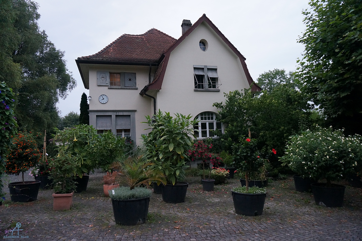 DSC00824
