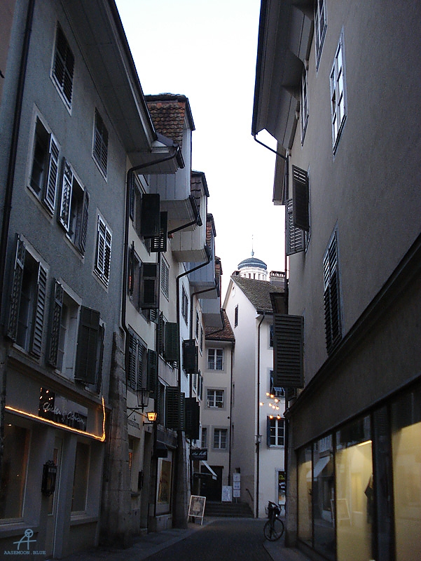 DSC00480