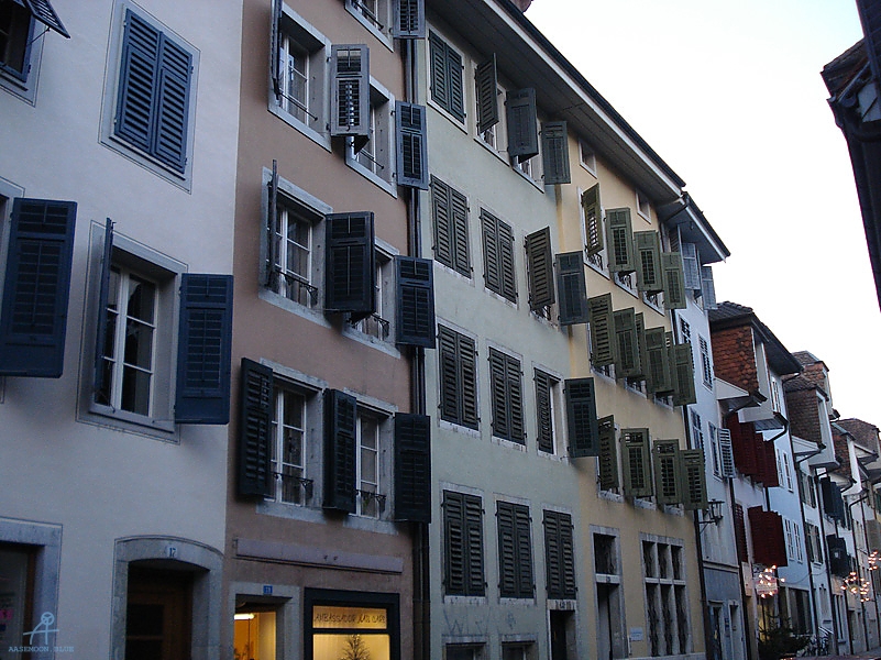 DSC00481
