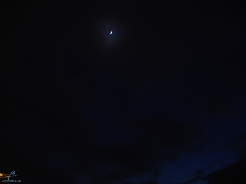 DSC01546